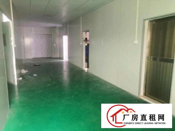  黄江镇中心新出无尘车间550平