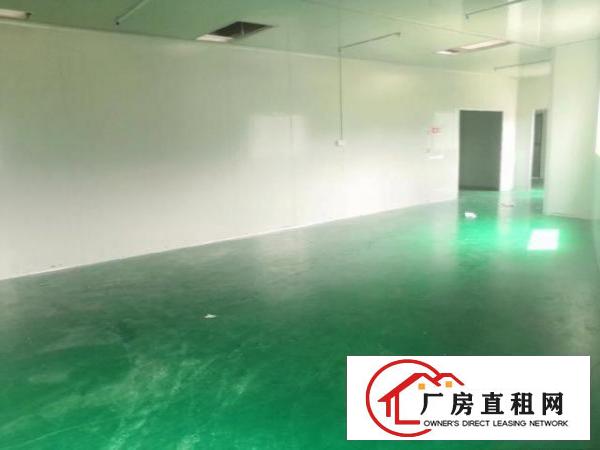  黄江镇中心新出无尘车间550平