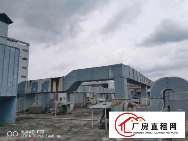  黄江厂房出租独门独院带环评直接使用可整租分租