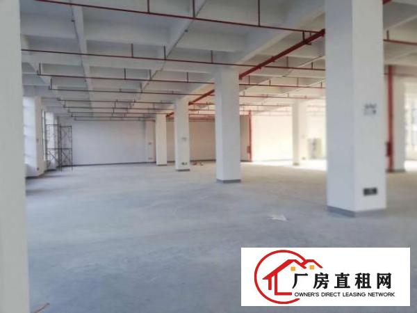  黄江镇社贝村全新厂房对外出租可分租