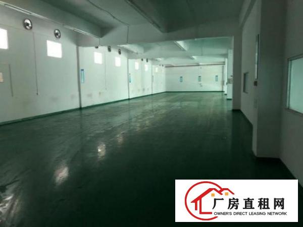  黄江镇田心村标准厂房二楼精装修出租水电齐全可分租