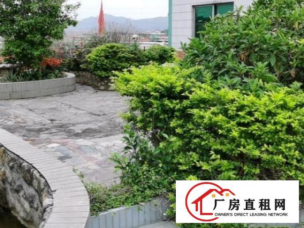  黄江带无尘车间标准厂房