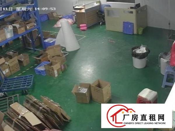  黄江带无尘车间标准厂房