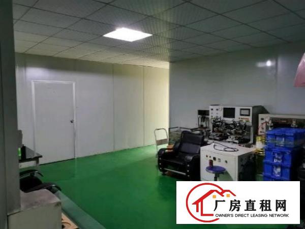  黄江带无尘车间标准厂房