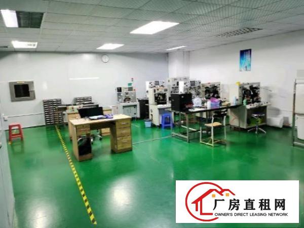  黄江带无尘车间标准厂房