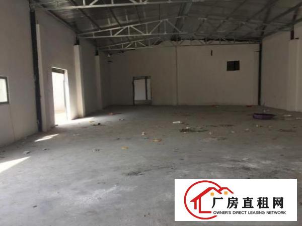  独门独院，更多厂房都可以咨询