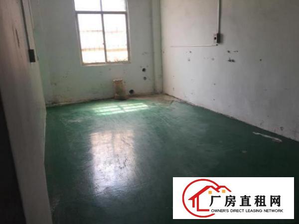  一楼，更多大小厂房写字楼都可联系咨询。