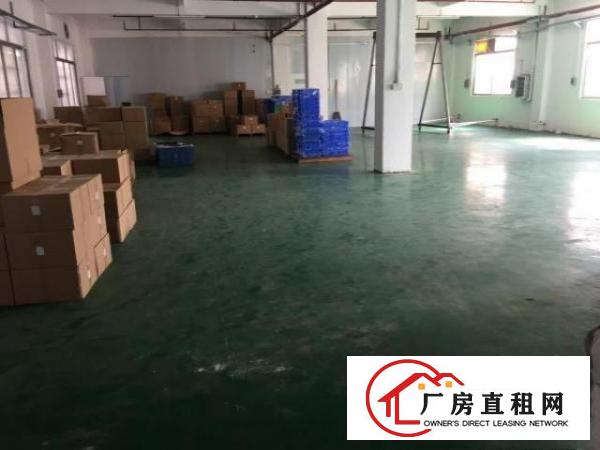  一楼，更多大小厂房写字楼都可联系咨询。