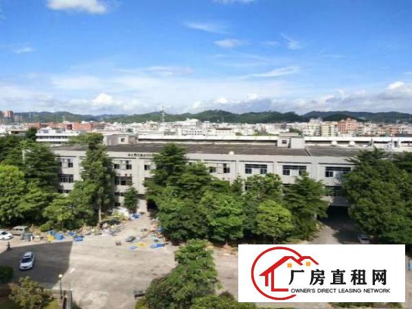  厂房环境优美，层高5米，现成办公室，主路边