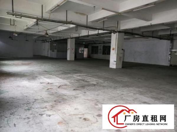  黄江合路标准一楼1000平方