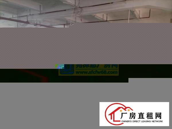  黄江镇中心新空出楼上1550平方出租。
