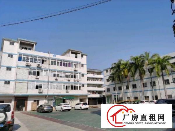  黄江600平方精装修厂房转租，