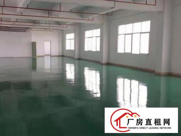  东莞个人厂房黄江龙见田带电梯4楼480平光线好7800元优惠