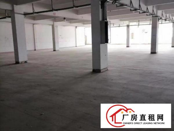  先豪工业园靓房出租可分租