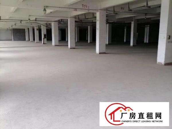 先豪工业园靓房出租可分租