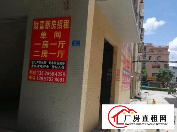  星光活动中心南巷29号一楼门面招租