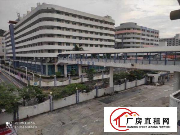 5000平方独院标准楼房宿舍办公室装修现成黄江镇