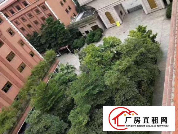  工业厂房一楼1000平，带装修环境，高8米原房东出租