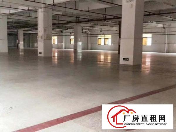  工业厂房一楼1000平，带装修环境，高8米原房东出租