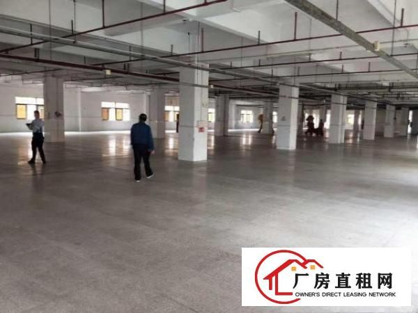  工业厂房一楼1000平，带装修环境，高8米原房东出租