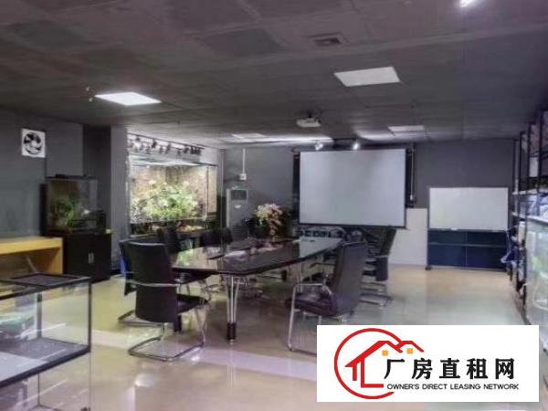  黄江高速出口附近新出独院总面积11500平带红本