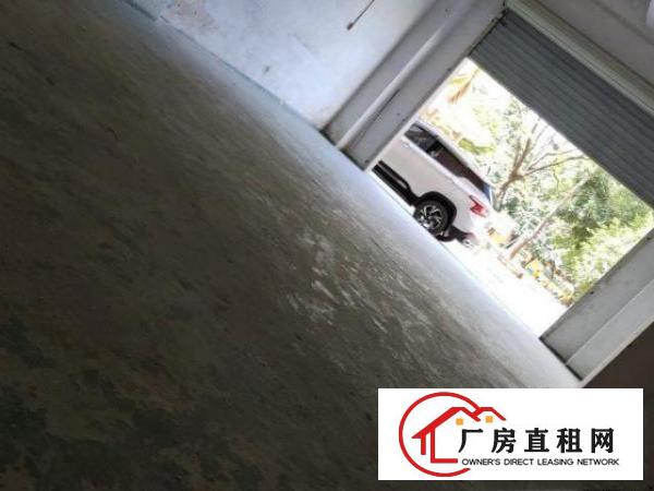 9成新，6层楼房，整一楼出租办公，仓库，房