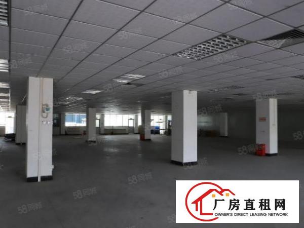  大朗新出精装修厂房带红本！原房东！