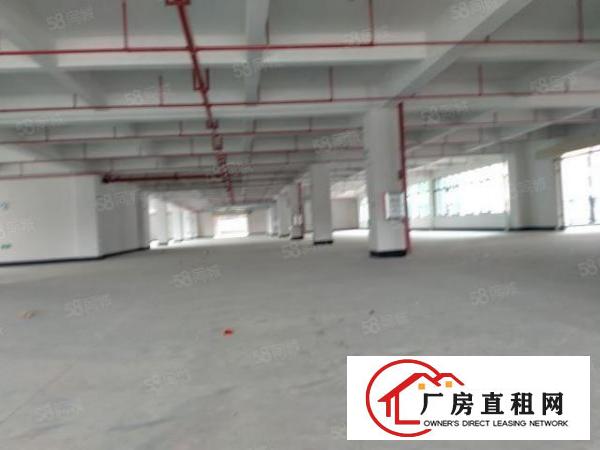  黄江原房东房源红本厂房出租可以办环评单层面积3200平方