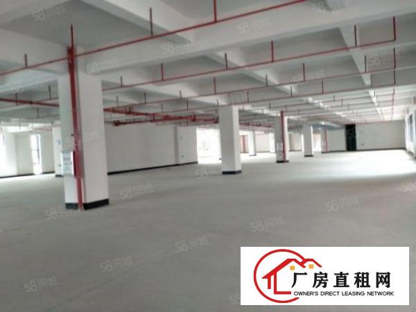  黄江原房东房源红本厂房出租可以办环评单层面积3200平方