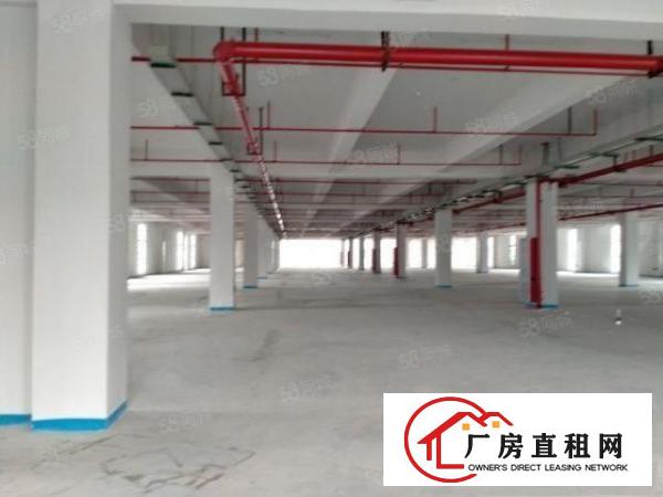  黄江原房东房源红本厂房出租可以办环评单层面积3200平方