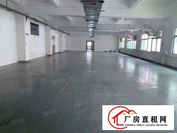  520平方标准一楼水电灯装修到位交通方便黄江镇