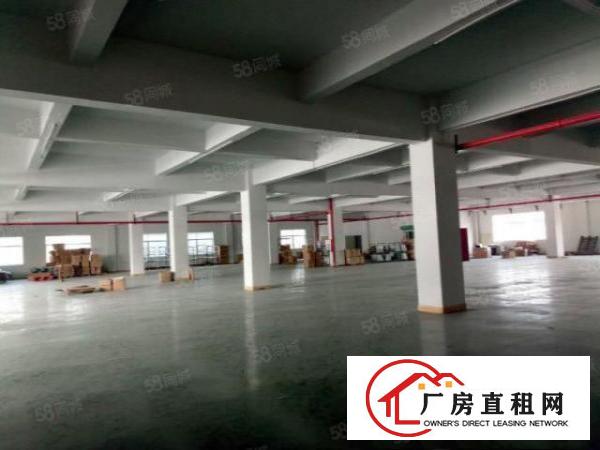  黄江新出楼上带地坪漆厂房1350平米