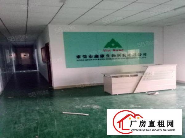  黄江新出楼上带地坪漆厂房1350平米