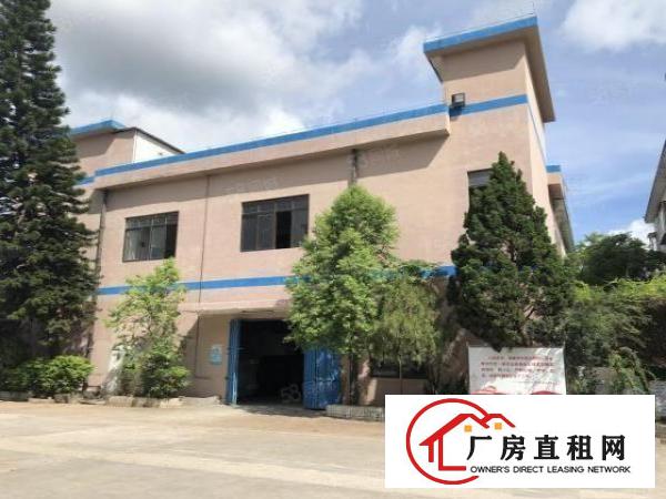  黄江田心独栋厂房，一二楼1900方，空地大，大车直甩，可分租