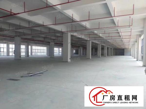  凤岗五联村工业区新出10000平方厂房300平起分租可办环评