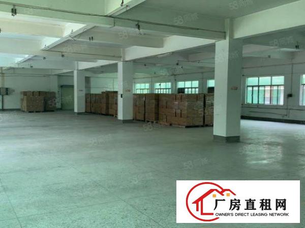 黄江胜前岗新出一楼550平方二楼1200平方厂房