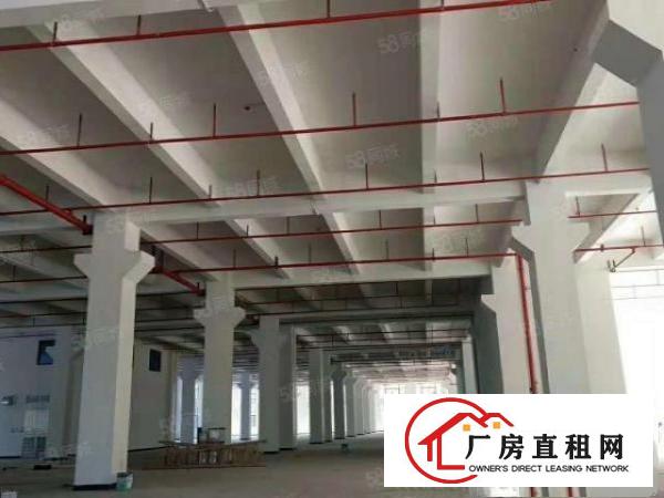  全新厂房一楼高度6.5米带牛腿2800平方厂房出租