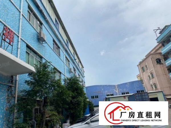  黄江镇中心独院分租独立钢构350方，带办公室靓货