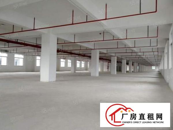  黄江原房东红本厂房出租可办环评大小分租全新厂房