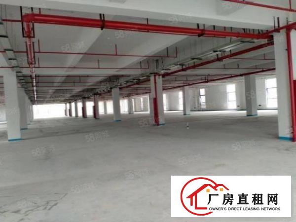  黄江原房东红本厂房出租可办环评大小分租全新厂房