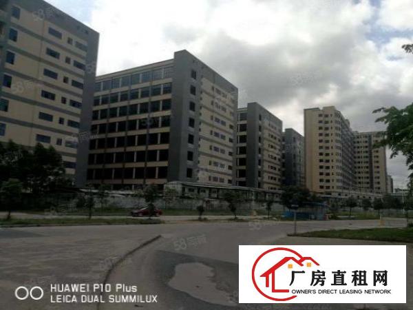 黄江原房东红本厂房出租可办环评大小分租全新厂房