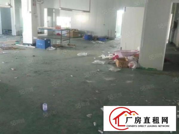  黄江社贝一楼800平有装修可分租
