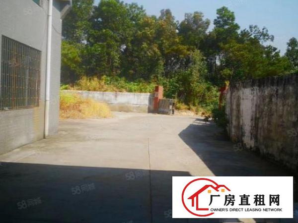  黄江靠山钢结构2000平方米大小可分租