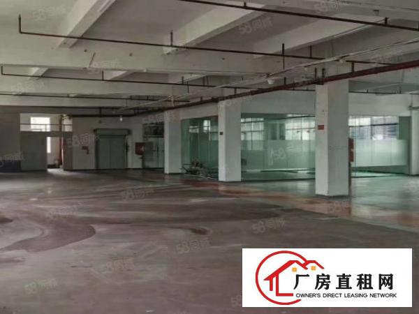  750平方标准一楼招租位于公常路边形象好黄江镇厂房