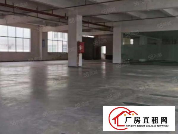 750平方标准一楼招租位于公常路边形象好黄江镇厂房