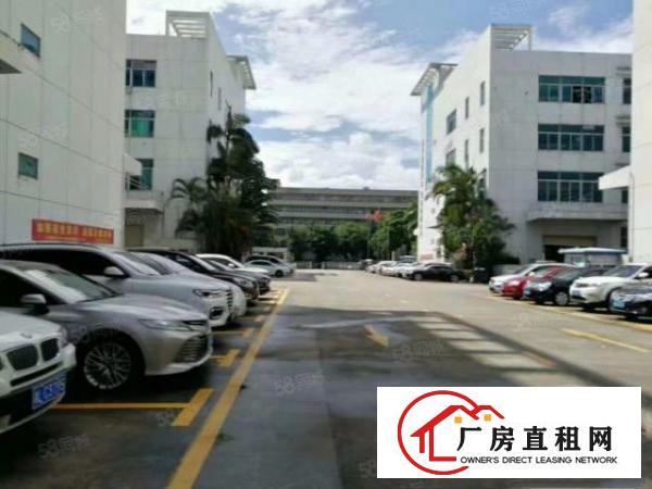  黄江原房东新出独门独院，面积7100平，有红本实际面积出