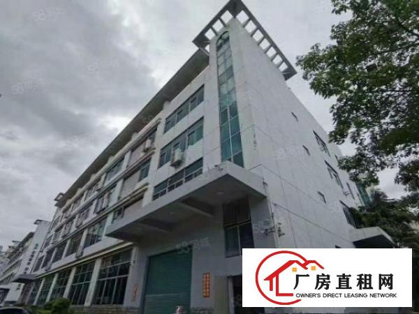  黄江原房东新出独门独院，面积7100平，有红本实际面积出