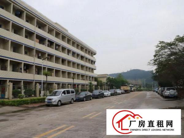  黄江高速口精装修厂房对外招租拎包办公原房东