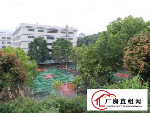  黄江高速口精装修厂房对外招租拎包办公原房东