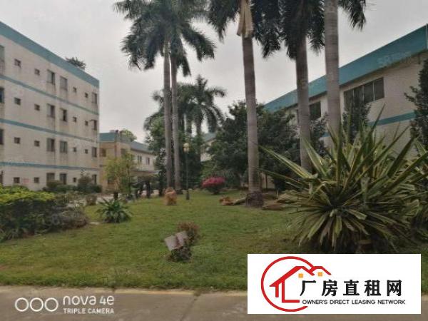  原房东砖墙到顶单一层带行车厂房3300平方出租